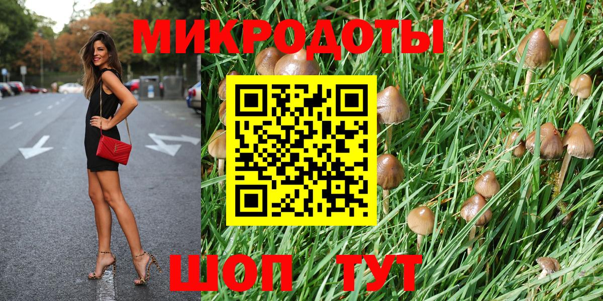 Галлюциногенные грибы мицелий  Вход с VPN  Галлюциногенные грибы GOLDEN TEACHER  Кумертау 
